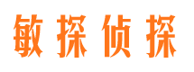 东洲市侦探公司